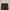 Dickies 874 Dark Brown Longpants  photo 4