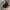 HUNTING JACKET REAL TREE CAMO OUTDOOR BIG POCKET MULTI photo 4