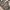 HUNTING JACKET REAL TREE CAMO OUTDOOR BIG POCKET MULTI photo 2