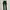 "Green Velvet Look" photo 4