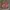 Pink Baby Doll Top photo 1
