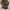 Ruffle Brown Cardigan photo 1