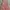 Vintage F21 Babydoll Pink Dress photo 1