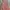 Vintage F21 Babydoll Pink Dress