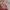 Vintage F21 Babydoll Pink Dress photo 6