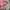 Vintage F21 Babydoll Pink Dress photo 4