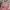 Vintage F21 Babydoll Pink Dress photo 2