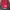 The North Face Recon Red Backpack