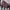 The North Face Recon Red Backpack photo 4