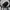 Straight Edge Backpack Converse ORIGINAL photo 3
