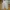 Ankle Wide Pants OPT beige photo 1