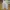 Ankle Wide Pants OPT Beige