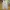 Ankle Wide Pants OPT beige photo 2