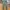 Fatigue Pants Urban Research Doors Japan olive photo 1