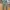 Fatigue Pants Urban Research Doors Japan Olive