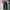 Uniqlo Vintage Streetwear Jeans Pria black photo 8