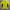 Millet Sportswear Windbreaker Pria Yellow