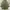 GAP Jacket & Coats Green Army photo 1