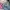 Pull & Bear Streetwear Biker Jeans Pria blue photo 6