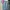 Pull & Bear Streetwear Biker Jeans Pria blue photo 4