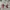 Thug Club Ripped Hoodie Korea Oversize Streetwear photo 2