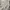 Thug Club Ripped Hoodie Korea Oversize Streetwear photo 6