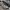 SALOMON XT6 GORE-TEX photo 2