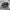 SALOMON XT6 GORE-TEX photo 1