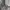 Triilon Racing Knitwear Rajut Double Zip Not Maison Mined MG photo 3