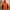 Kappa Sportswear Windbreaker Pria Orange