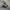 ADIDAS SAMBA WALLES BONNER photo 1