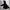 Dickies Sportswear Windbreaker Pria black photo 4