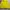 Fila Sportswear Windbreaker Wanita yellow photo 2