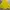 Fila Sportswear Windbreaker Wanita yellow photo 1