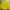 Fila Sportswear Windbreaker Wanita Yellow