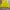 Fila Sportswear Windbreaker Wanita yellow photo 3