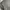 crewneck grey cable knit photo 2