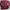 cardigan stripe burgundy  photo 1