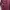 cardigan stripe burgundy  photo 2
