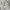 Airsm Cotton Oversized Crew Neck Tee Shirt White photo 4