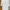 Airsm Cotton Oversized Crew Neck Tee Shirt White photo 1