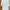 Airsm Cotton Oversized Crew Neck Tee Shirt White
