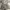 oneset piyama stitch photo 1