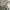 oneset piyama stitch photo 2