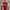 Bukayo Saka Arsenal 24/25 Home Kit Player Issue 
