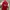 Jersey Arsenal 23/24 Home Kit  photo 1