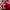 Jersey Arsenal 23/24 Home Kit  photo 5