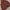 Parka Jacket Maroon Birthdaysuite Double Zipper + Ada Visorn photo 4
