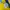 Adidas Streetwear Y2K Jersey Pria blue yellow photo 4