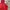 Dickies Windbreaker Red Jacket photo 3